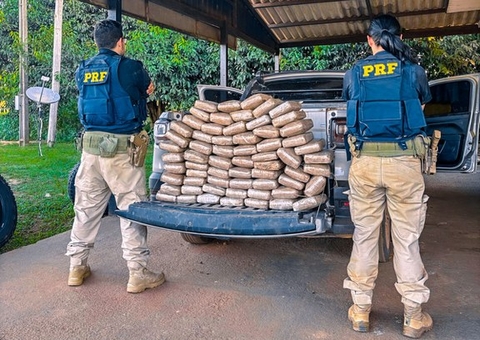 Motorista é preso com 69 kg de drogas escondidos na lataria de carro na BR- 319