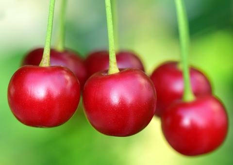 Três alimentos ricos em vitamina C que podem ajudar a reduzir o estresse