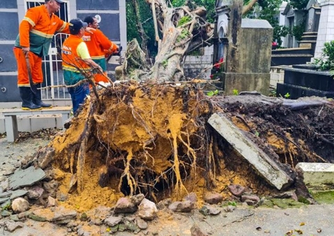Semulsp faz operação para limpar estragos causados por temporal em Manaus