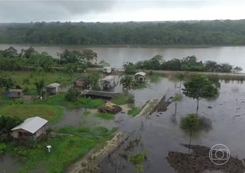 Rio Purus invade plantações e força colheita às pressas no Amazonas