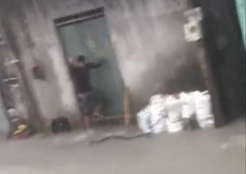 Vídeo: Cobra surge em rua alagada durante chuva em Manaus e assusta moradores
