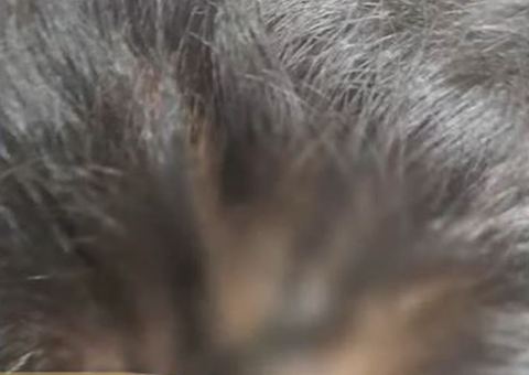 Criança resgatada de cárcere era agredida com madeira com prego na ponta em Manaus