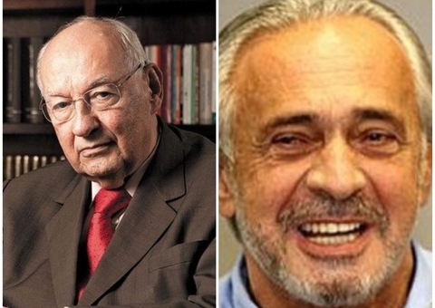 Floresta em pé, solução para o Brasil em um novo perfil jurídico 