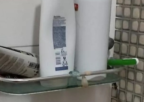 Cobra venenosa assusta moradores escondida atrás de shampoo no banheiro