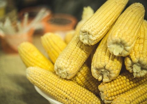 Abrigo Moacyr Alves realiza Arraial da Solidariedade em Manaus