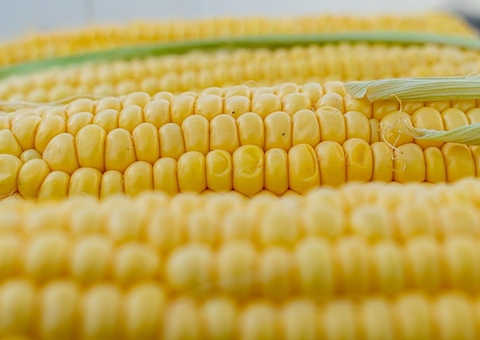 Nutricionista ensina como não fugir da dieta nas festas juninas