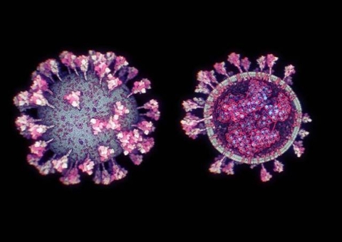 Rio de Janeiro encontra nova variante do coronavírus no estado