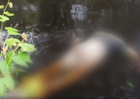 Com rosto devorado por peixes, homem é achado boiando em rio de Manaus