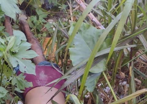 Corpo é encontrado com várias perfurações em matagal de Manaus