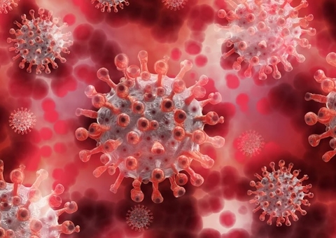 Interior do Amazonas não registra nenhuma morte por covid nas últimas 24h 