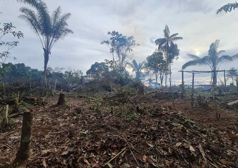 Dupla que preparava área para fazer invasão em Manaus é presa
