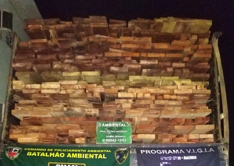 Caminhão e madeira ilegal são apreendidos em Manaus