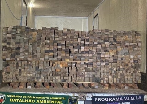 Carga de madeira ilegal é apreendida em Manaus