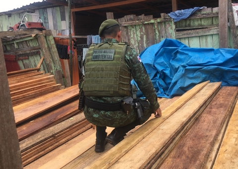 Madeira ilegal avaliada em R$ 12 mil é encontrada em depósito clandestino em Manaus