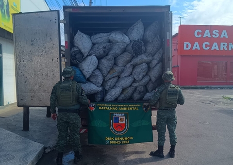 Homem é preso por transportar carvão vegetal ilegal avaliado em R$ 64 mil na AM-010