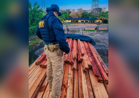 PRF flagra adolescente dirigindo caminhão com madeira ilegal na BR-174