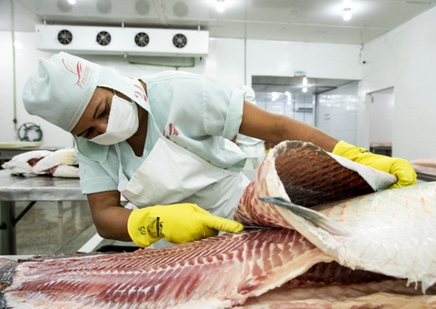 Feirão terá venda de pirarucu e produtos orgânicos nesta quinta em Manaus 