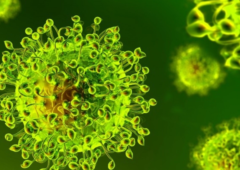 Variante de Manaus avança pelo Brasil e já circula em 12 estados 