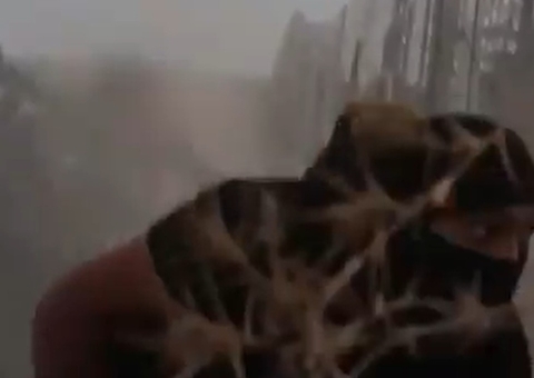 Seis palestinos são mortos por Israel em meio a trégua com Hamas