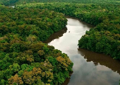 Manaus sediará 1º Congresso Internacional de Saúde Animal e Ambiental
