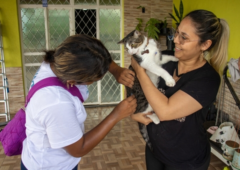 Vacinação antirrábica será disponibilizada neste sábado em Manaus; saiba mais