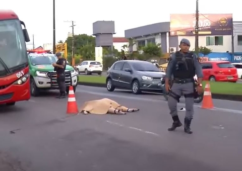 Mulher morre atropelada ao tentar atravessar avenida em Manaus