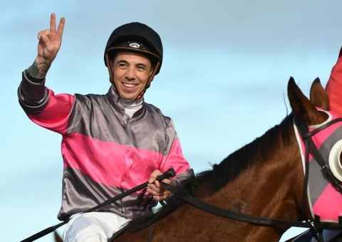 Jóquei morre após cavalos tropeçarem e causarem queda em alta velocidade