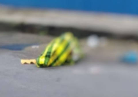 Moradores encontram homem decapitado perto de feira em Manaus