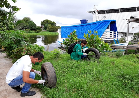 Chuvas favorecem Aedes Aegypti e Amazonas já tem 4.379 casos de dengue