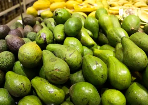 Brasil poderá exportar abacate para o Japão, anuncia ministro da Agricultura