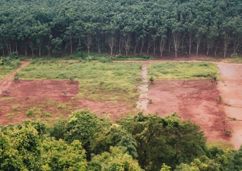 Justiça do Amazonas condena fazendeiro por desmatar mais de 150 campos de futebol