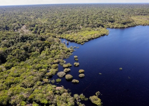 Desmatamento na Amazônia atinge menor nível em 11 anos, aponta Inpe