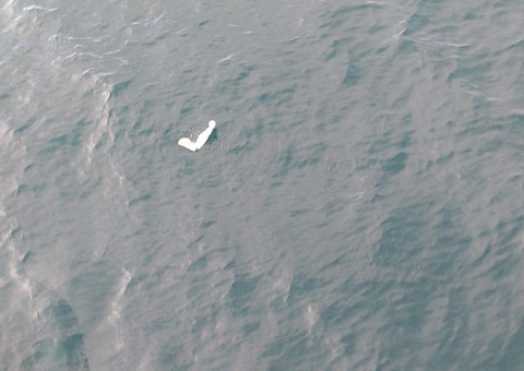 FAB encontra corpo e destroços do avião que caiu no mar em Ubatuba