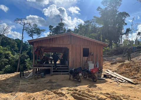 Homem é flagrado com armas escondidas em galhos de árvores em Apuí