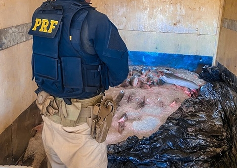 PRF apreende 800 kg de peixe dourado em rodovia no Amazonas