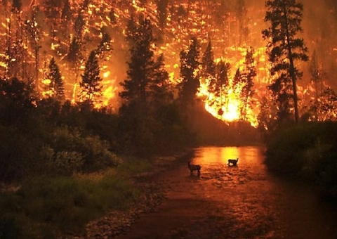 O turismo da região Amazônica está posto à prova