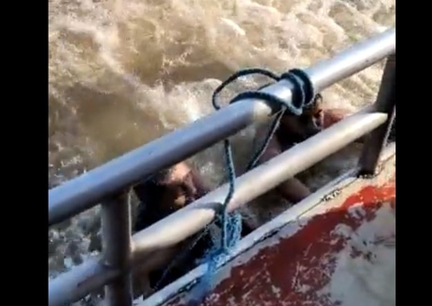 Vídeos mostram sobreviventes sendo resgatados após naufrágio no Pará