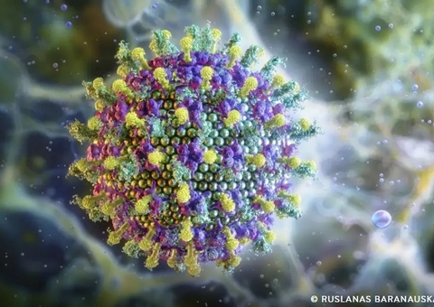 Vírus Nipah não representa ameaça ao Brasil, afirma Ministério da Saúde