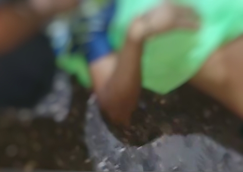 Jovem tem cabeça crivada de tiros por pistoleiros em Manacapuru