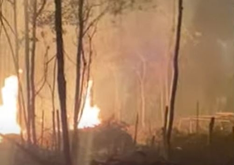 Incêndio criminoso destrói área de mata que tinha sido invadida em Novo Airão