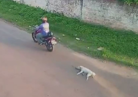 Vídeo: Mototaxista é flagrado arrastando cachorro por rua de Itacoatiara