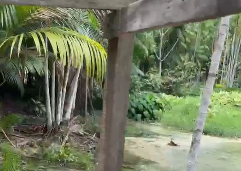 AO VIVO: Filho mata mãe a facada no Nova Vitória