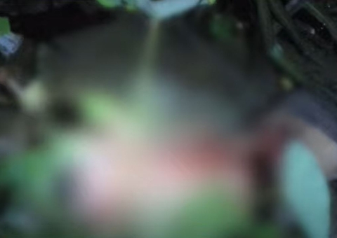 Homem é achado morto em igarapé após ser sequestrado na frente dos filhos em Manaus