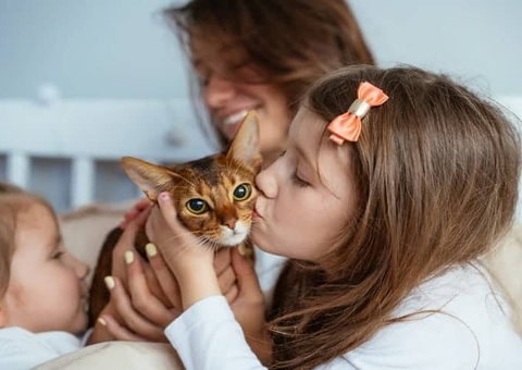 Saiba como identificar se seu animal de estimação sofre de ansiedade