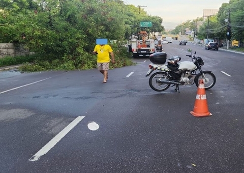 Árvore tomba e interdita trecho de avenida em Manaus 