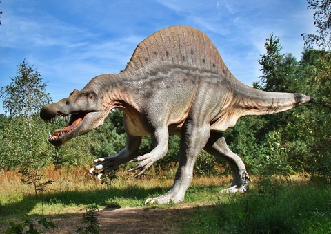 Cientistas descobrem duas novas espécies de dinossauro na China