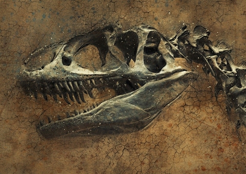 Cientistas descobrem novo dinossauro carnívoro brasileiro