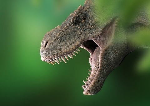 Achado arqueológico pode provar que tiranossauros viviam em grupos