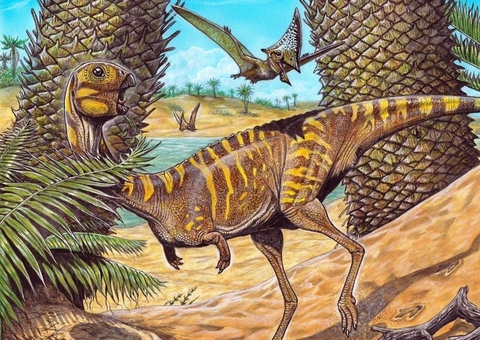 Berthasaura Leopoldinae: Museu Nacional anuncia descoberta de novo dinossauro