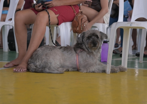 Shopping recebe Castramóvel com serviço gratuito de castração em Manaus